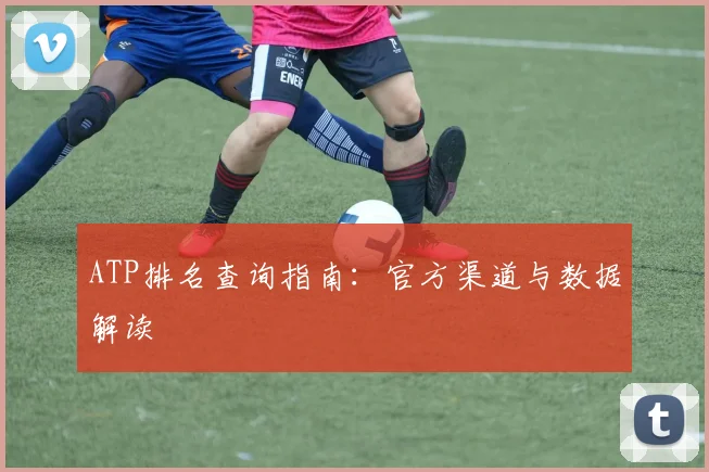 ATP排名查询指南：官方渠道与数据解读