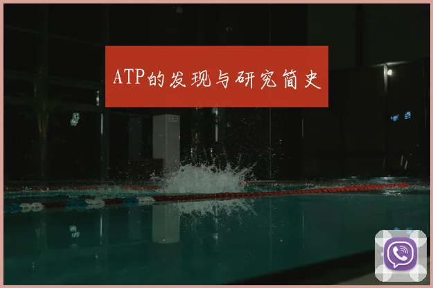 ATP的发现与研究简史