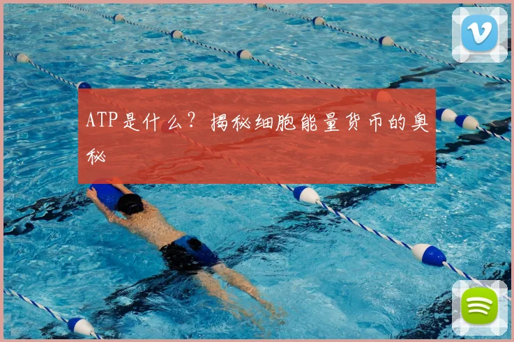ATP是什么？揭秘细胞能量货币的奥秘