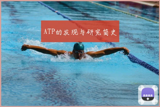 ATP的发现与研究简史