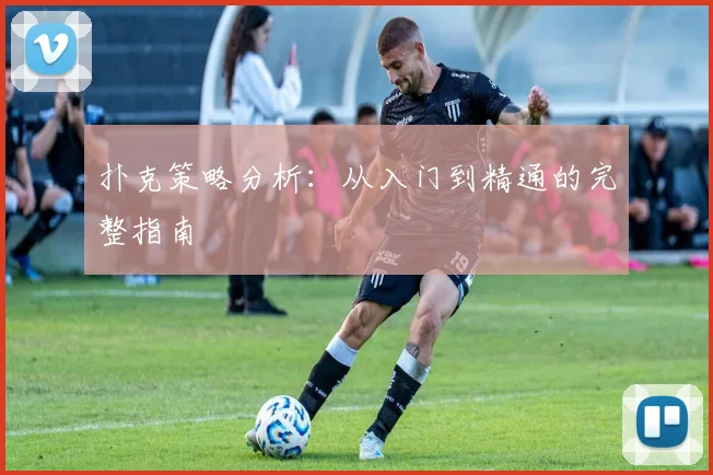 扑克策略分析：从入门到精通的完整指南