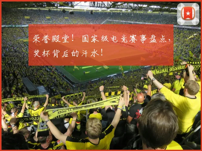 荣誉殿堂!国家级电竞赛事盘点,奖杯背后的汗水!