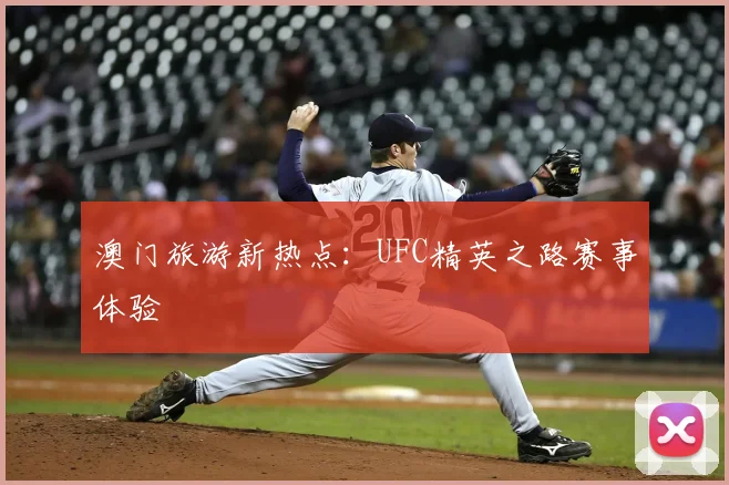 澳门旅游新热点：UFC精英之路赛事体验