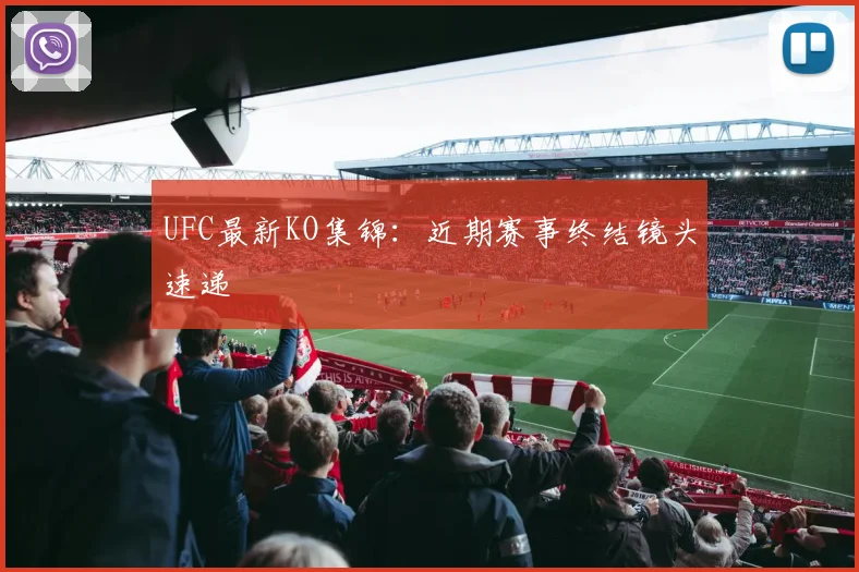 UFC最新KO集锦：近期赛事终结镜头速递