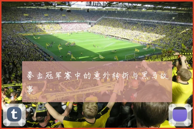拳击冠军赛中的意外转折与黑马故事